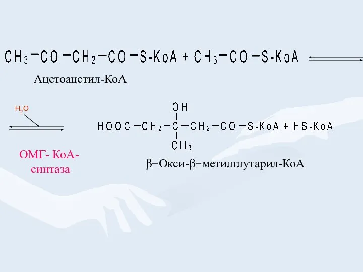 ОМГ- КоА- синтаза β−Окси-β−метилглутарил-КоА Ацетоацетил-КоА H2O