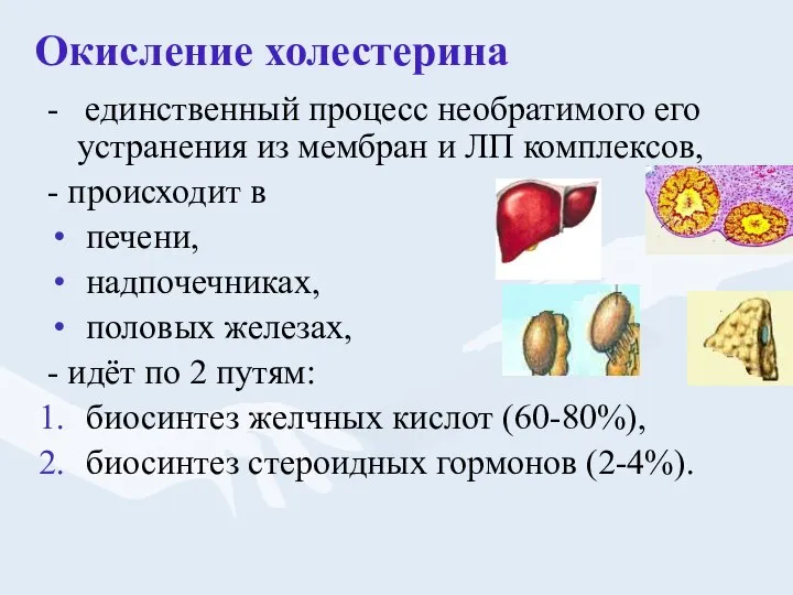 Окисление холестерина - единственный процесс необратимого его устранения из мембран и