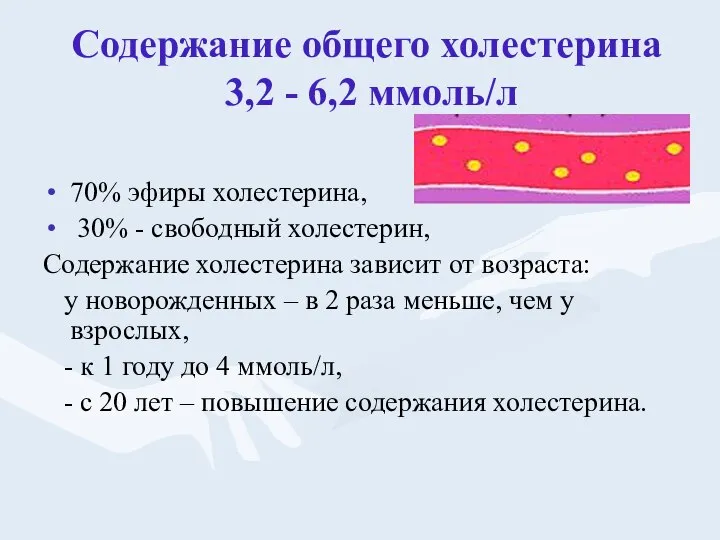 Содержание общего холестерина 3,2 - 6,2 ммоль/л 70% эфиры холестерина, 30%