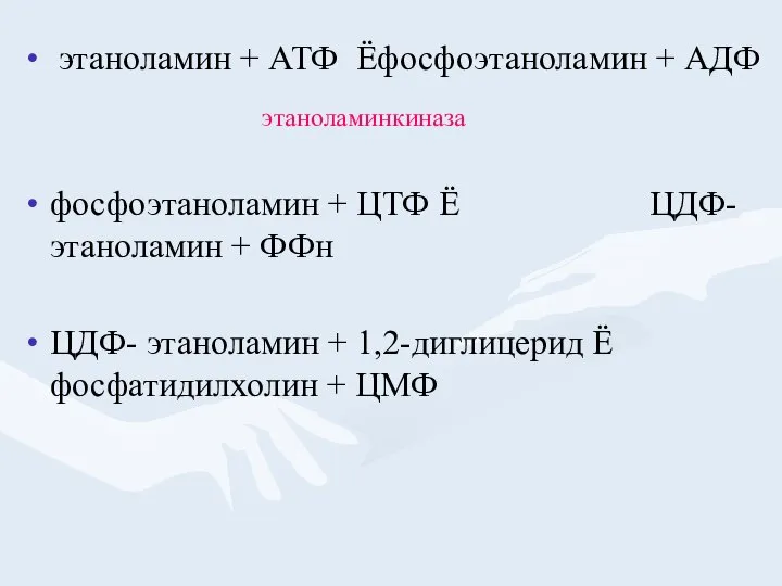 этаноламин + АТФ Ёфосфоэтаноламин + АДФ фосфоэтаноламин + ЦТФ Ё ЦДФ-