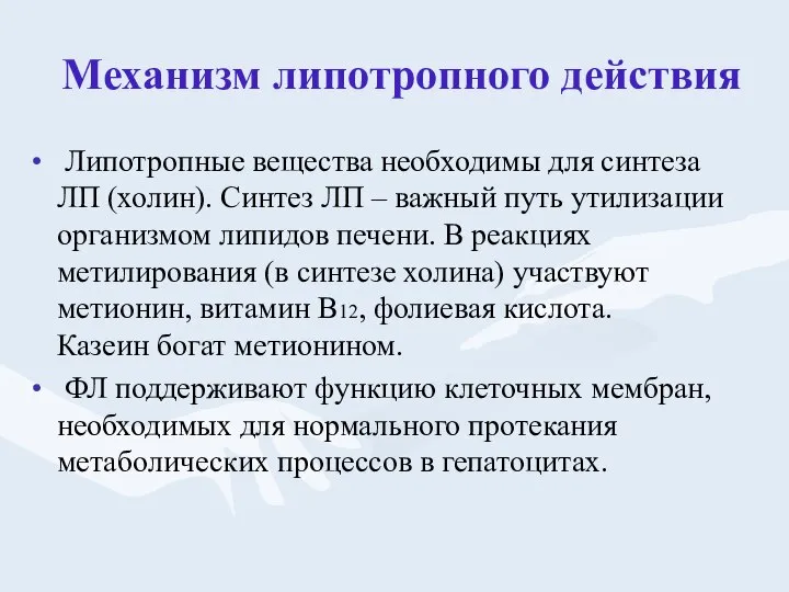 Механизм липотропного действия Липотропные вещества необходимы для синтеза ЛП (холин). Синтез