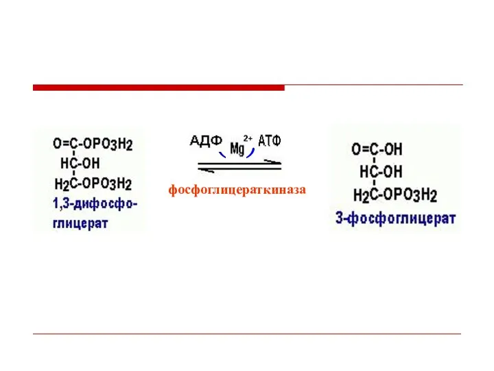 фосфоглицераткиназа