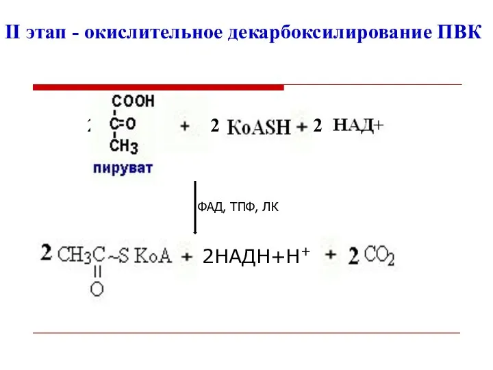 II этап - окислительное декарбоксилирование ПВК 2 2 ФАД, ТПФ, ЛК 2 2НАДН+Н+