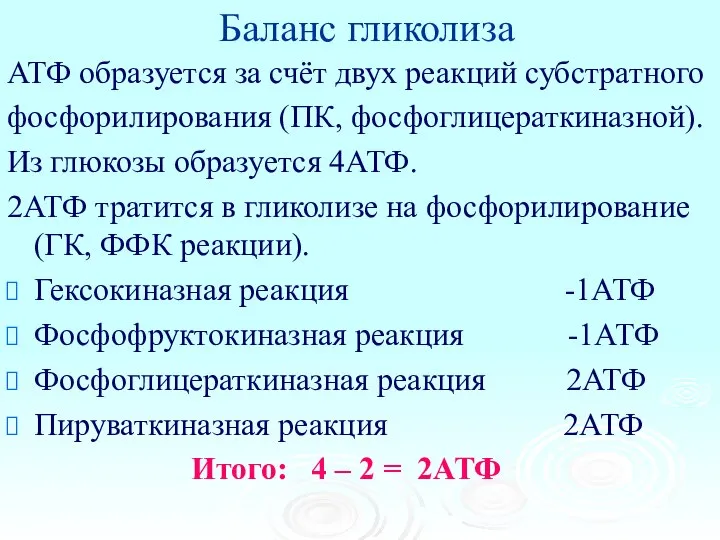 Баланс гликолиза АТФ образуется за счёт двух реакций субстратного фосфорилирования (ПК,