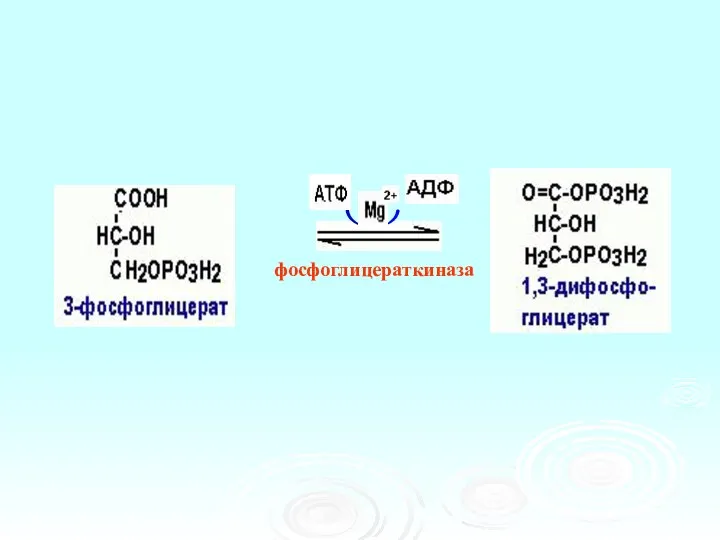 фосфоглицераткиназа