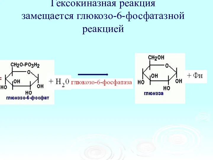 Гексокиназная реакция замещается глюкозо-6-фосфатазной реакцией