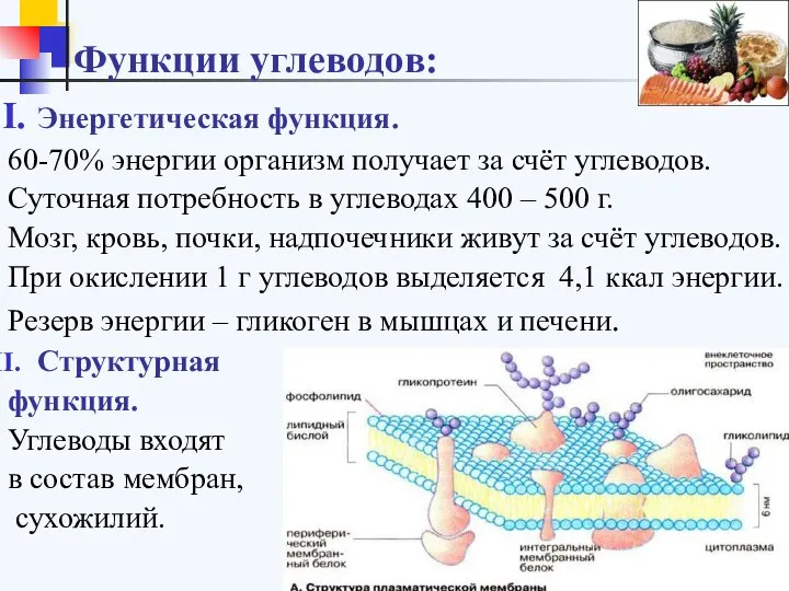 Функции углеводов: Энергетическая функция. 60-70% энергии организм получает за счёт углеводов.