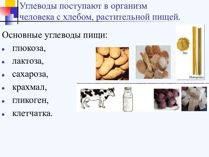 Углеводы поступают в организм человека с хлебом, растительной пищей. Основные углеводы