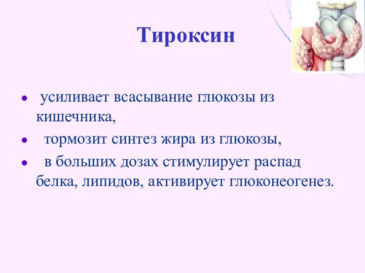 Тироксин усиливает всасывание глюкозы из кишечника, тормозит синтез жира из глюкозы,