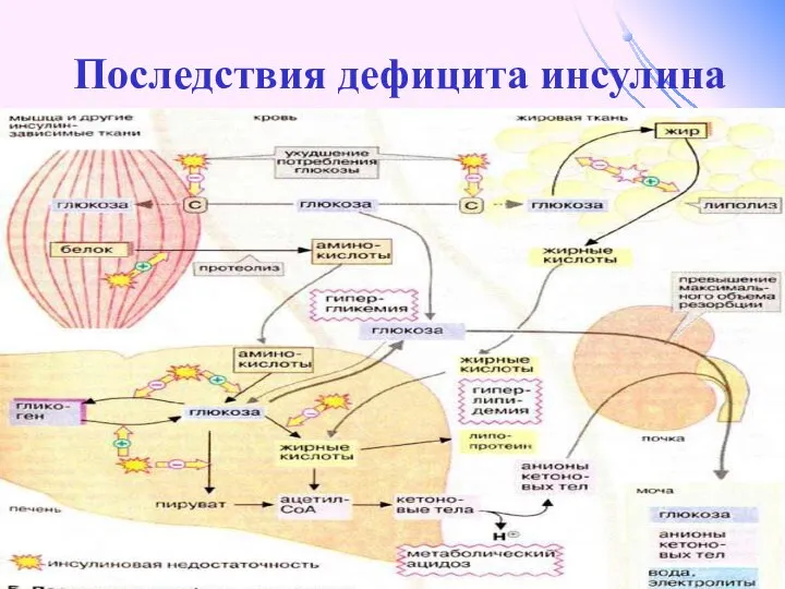 Последствия дефицита инсулина