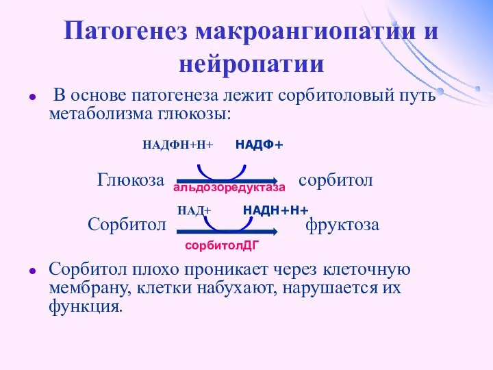 Патогенез макроангиопатии и нейропатии В основе патогенеза лежит сорбитоловый путь метаболизма