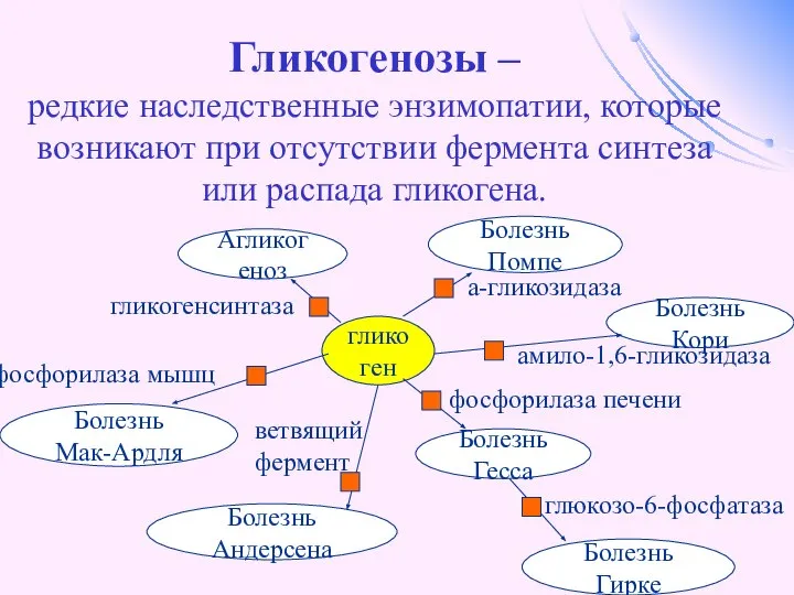 Гликогенозы – редкие наследственные энзимопатии, которые возникают при отсутствии фермента синтеза