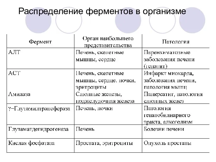 Распределение ферментов в организме