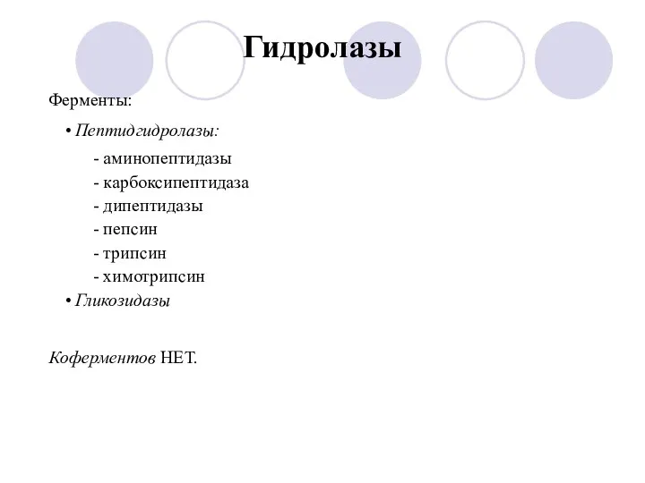 Гидролазы Ферменты: Пептидгидролазы: - аминопептидазы - карбоксипептидаза - дипептидазы - пепсин