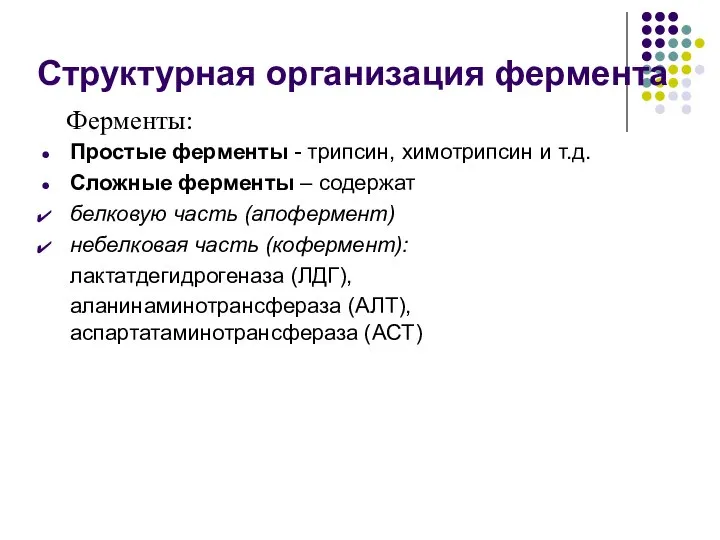 Структурная организация фермента Простые ферменты - трипсин, химотрипсин и т.д. Сложные