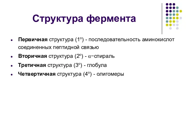 Структура фермента Первичная структура (1о) - последовательность аминокислот соединенных пептидной связью