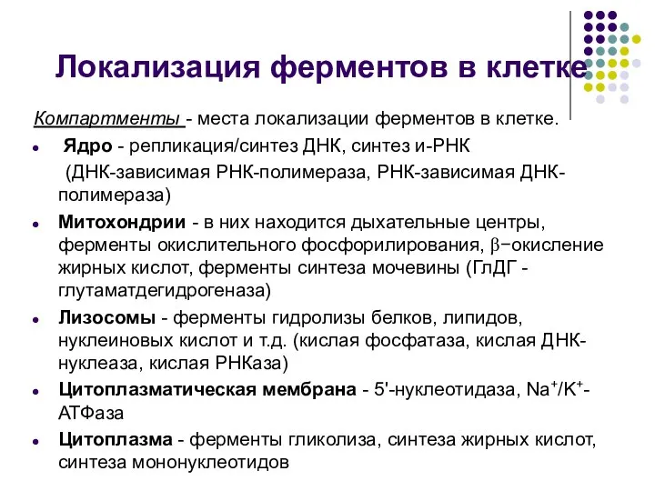 Локализация ферментов в клетке Компартменты - места локализации ферментов в клетке.