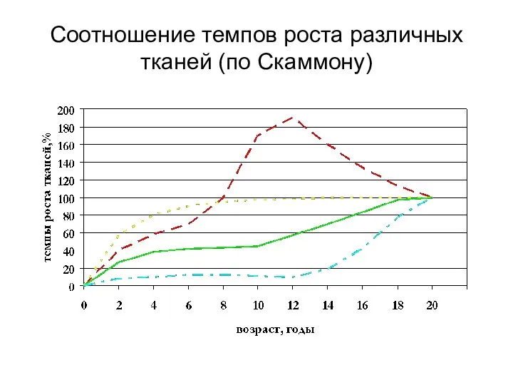 Соотношение темпов роста различных тканей (по Скаммону)