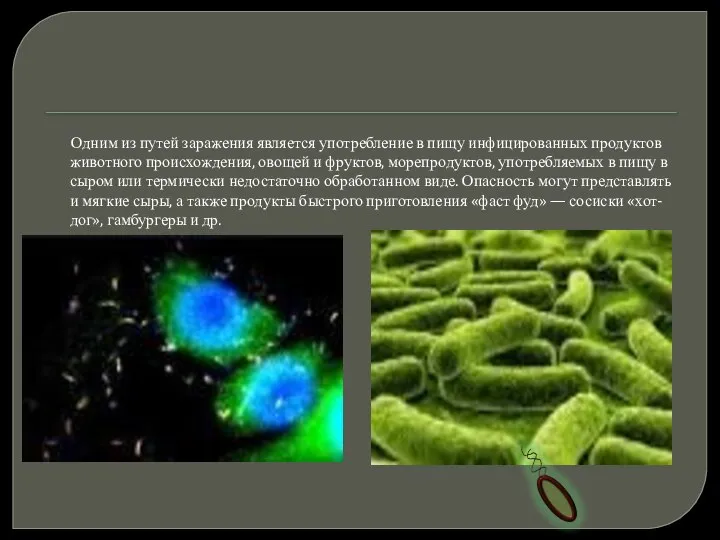 Одним из путей заражения является употребление в пищу инфицированных продуктов животного