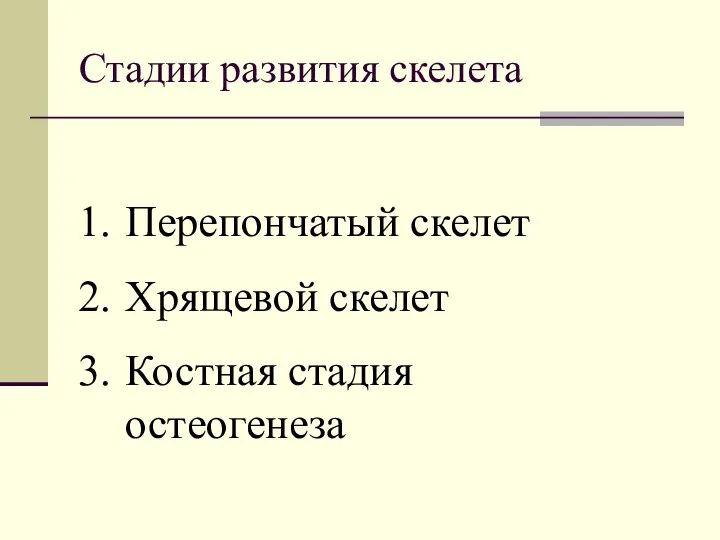 Стадии развития скелета Перепончатый скелет Хрящевой скелет Костная стадия остеогенеза