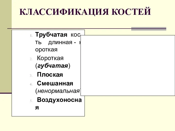 КЛАССИФИКАЦИЯ КОСТЕЙ Трубчатая кость длинная - короткая Короткая (губчатая) Плоская Смешанная (ненормальная) Воздухоносная