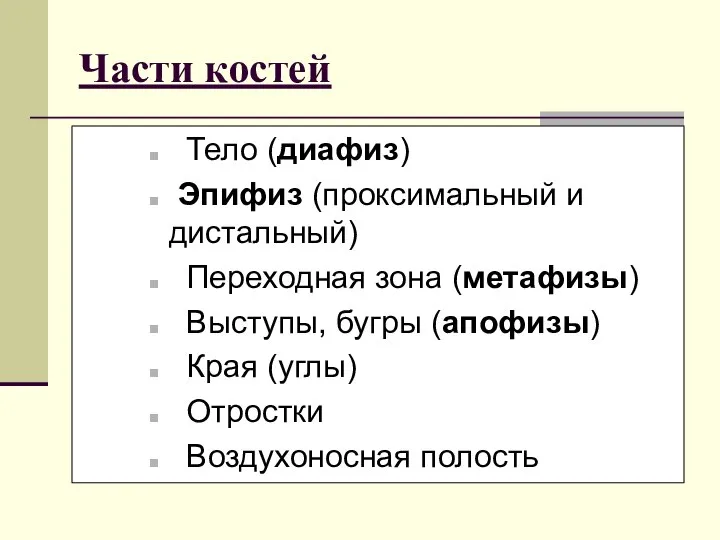 Части костей Тело (диафиз) Эпифиз (проксимальный и дистальный) Переходная зона (метафизы)