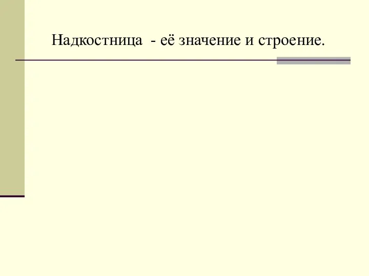 Надкостница - её значение и строение.