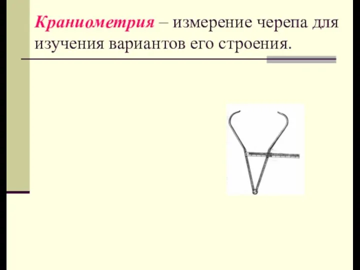 Краниометрия – измерение черепа для изучения вариантов его строения.