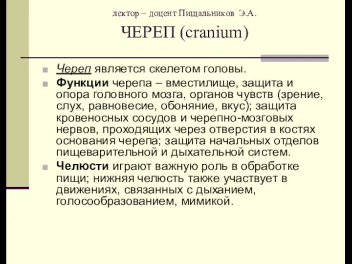 лектор – доцент Пищальников Э.А. ЧЕРЕП (cranium) Череп является скелетом головы.