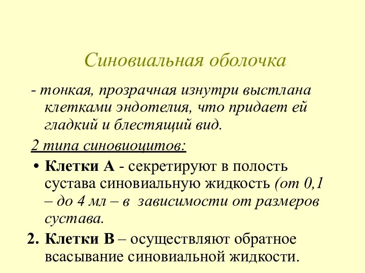 Синовиальная оболочка - тонкая, прозрачная изнутри выстлана клетками эндотелия, что придает