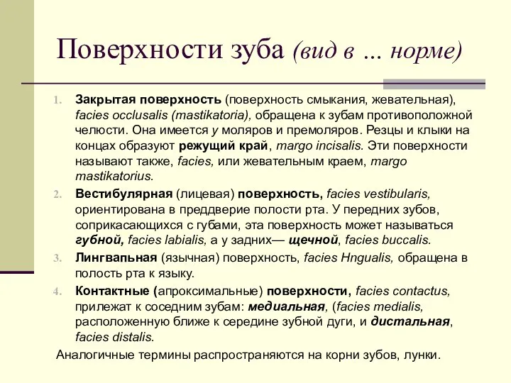 Поверхности зуба (вид в … норме) Закрытая поверхность (поверхность смыкания, жевательная),