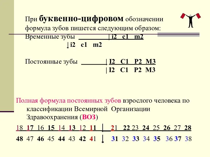 Полная формула постоянных зубов взрослого человека по классификации Всемирной Организации Здравоохранения