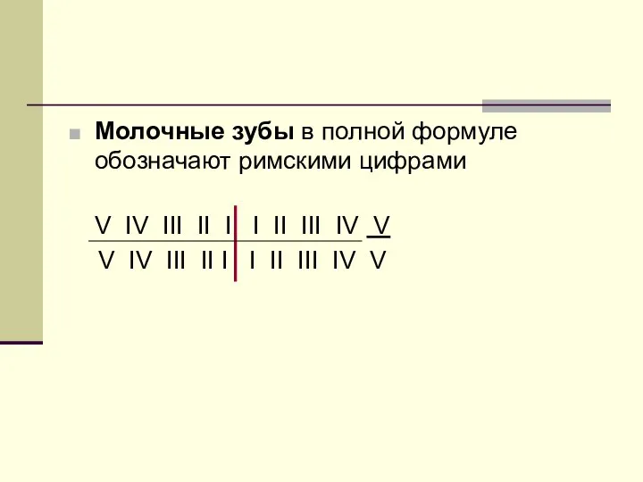 Молочные зубы в полной формуле обозначают римскими цифрами V IV III