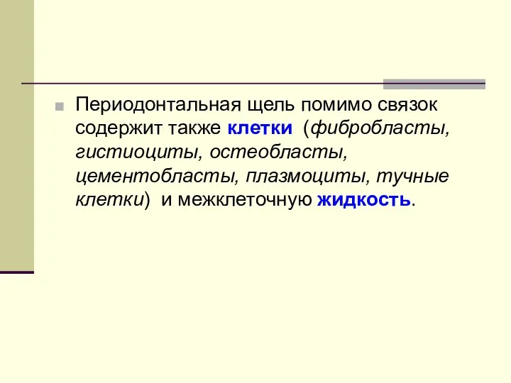 Периодонтальная щель помимо связок содержит также клетки (фибробласты, гистиоциты, остеобласты, цементобласты,