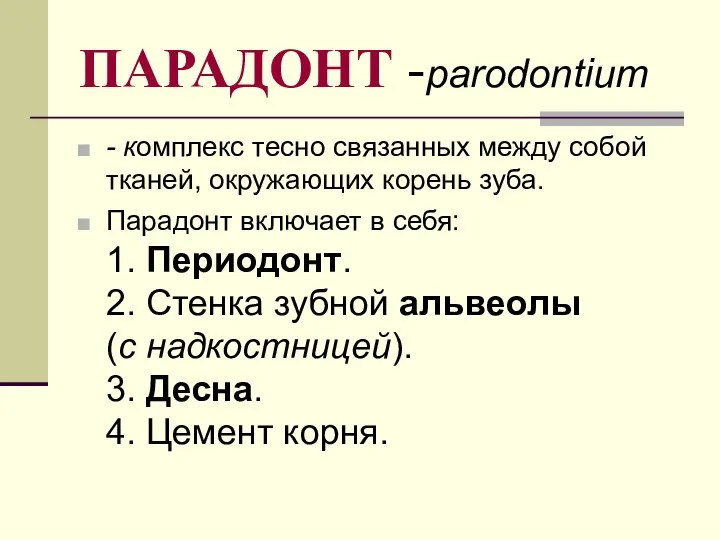 ПАРАДОНТ -parodontium - комплекс тесно связанных между собой тканей, окружающих корень