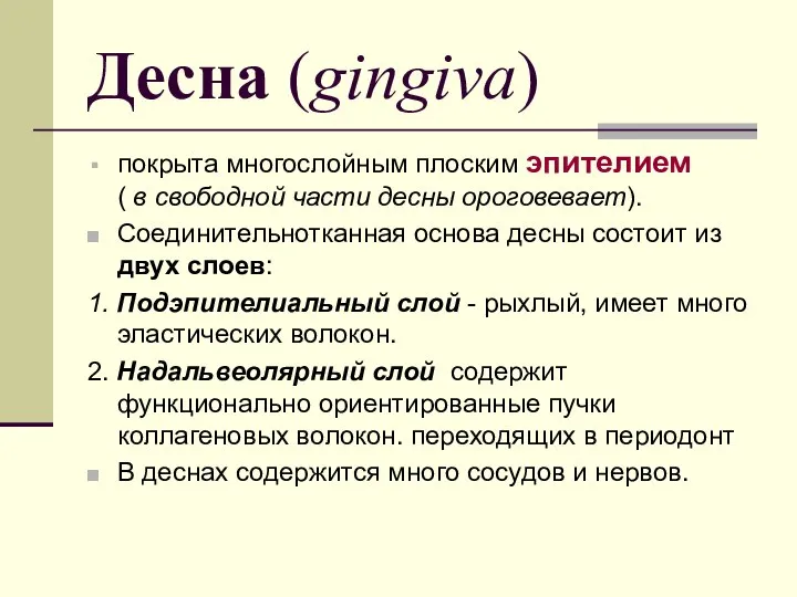 Десна (gingiva) покрыта многослойным плоским эпителием ( в свободной части десны