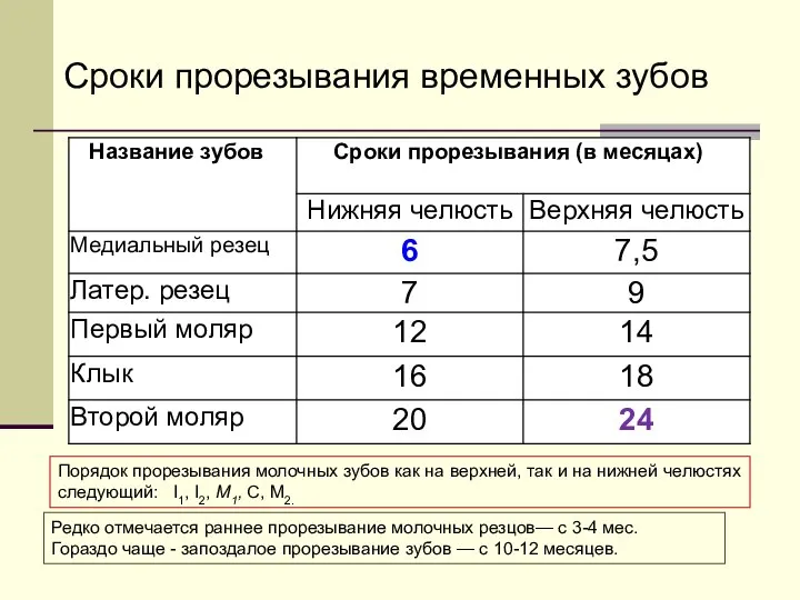 Сроки прорезывания временных зубов Порядок прорезывания молочных зубов как на верхней,