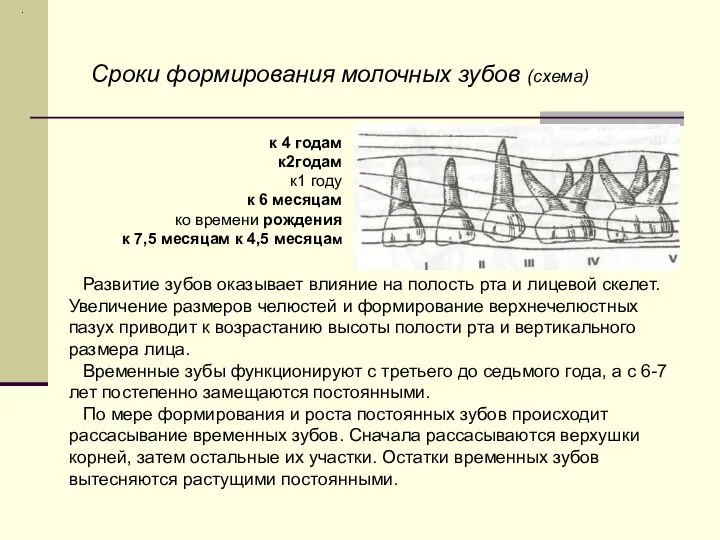 . к 4 годам к2годам к1 году к 6 месяцам ко