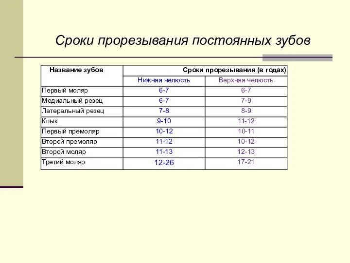 Сроки прорезывания постоянных зубов