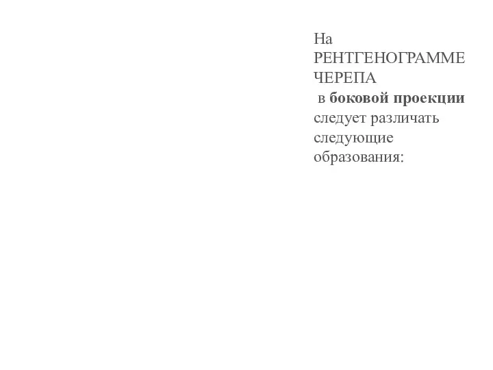 На РЕНТГЕНОГРАММЕ ЧЕРЕПА в боковой проекции следует различать следующие образования: