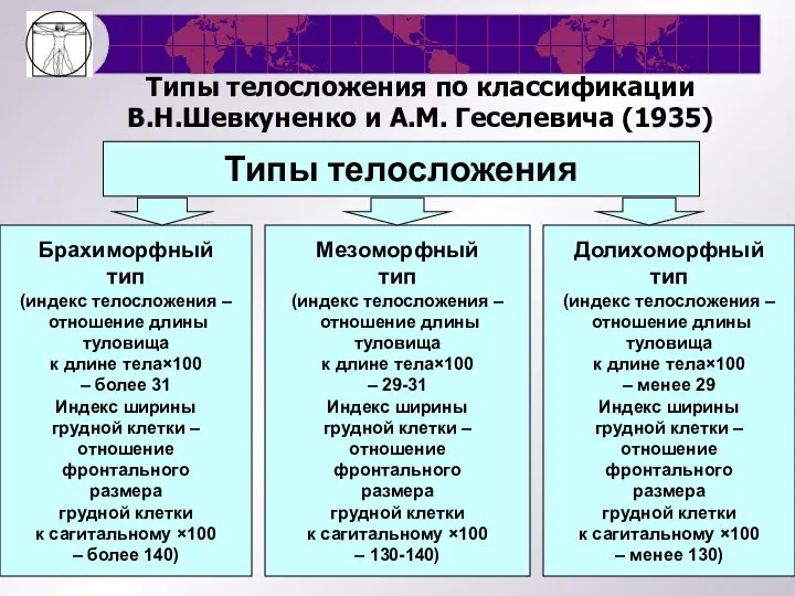 Типы телосложения по классификации В.Н.Шевкуненко и А.М. Геселевича (1935) Типы телосложения