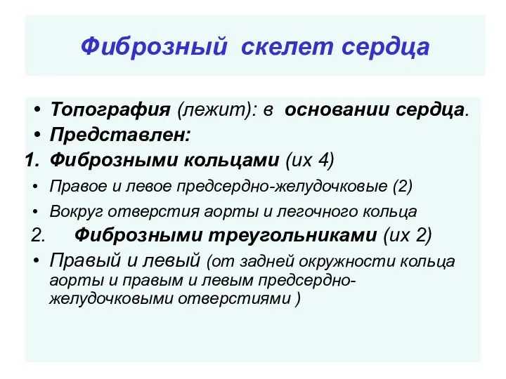 Фиброзный скелет сердца Топография (лежит): в основании сердца. Представлен: Фиброзными кольцами