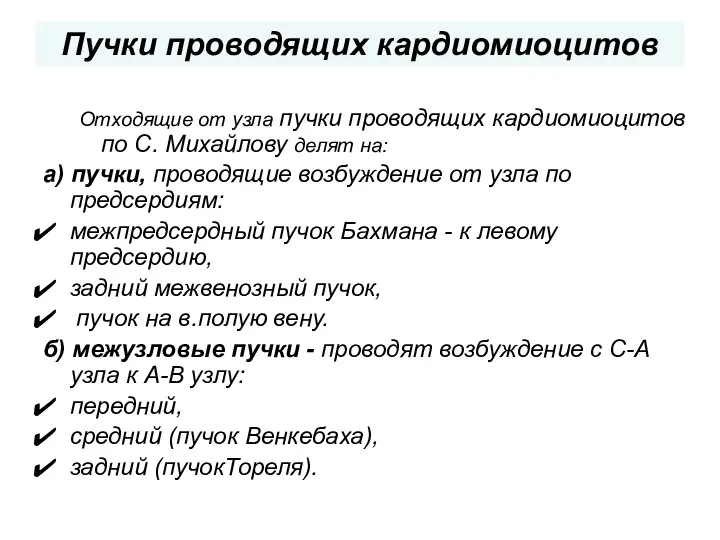 Пучки проводящих кардиомиоцитов Отходящие от узла пучки проводящих кардиомиоцитов по С.