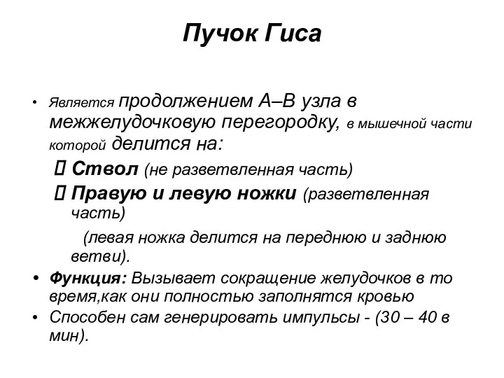 Пучок Гиса Является продолжением А–В узла в межжелудочковую перегородку, в мышечной