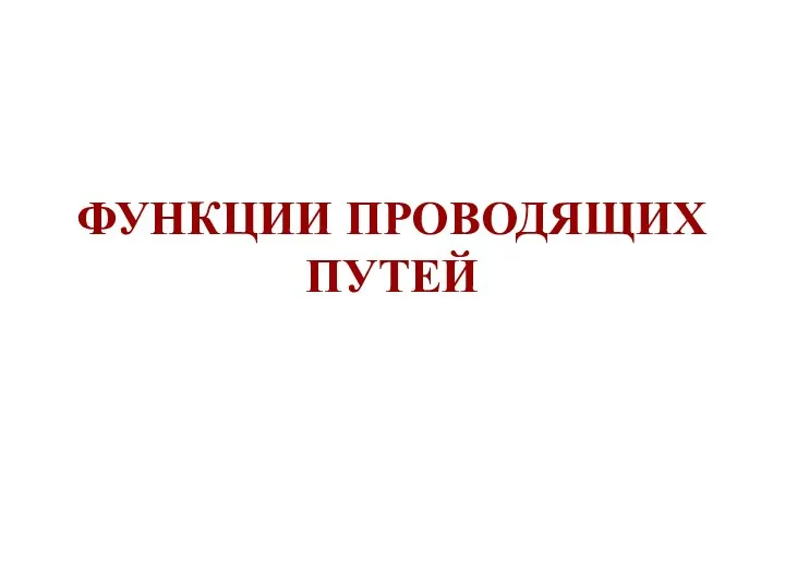 ФУНКЦИИ ПРОВОДЯЩИХ ПУТЕЙ