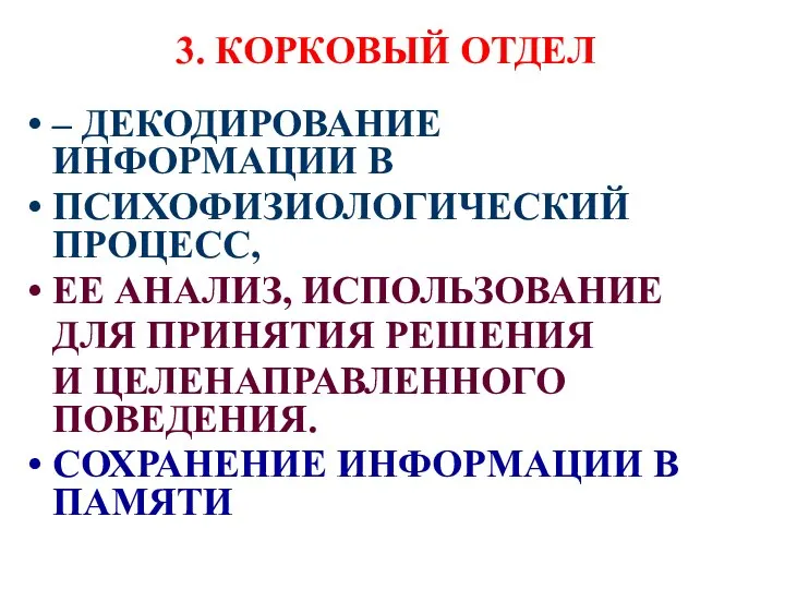 3. КОРКОВЫЙ ОТДЕЛ – ДЕКОДИРОВАНИЕ ИНФОРМАЦИИ В ПСИХОФИЗИОЛОГИЧЕСКИЙ ПРОЦЕСС, ЕЕ АНАЛИЗ,