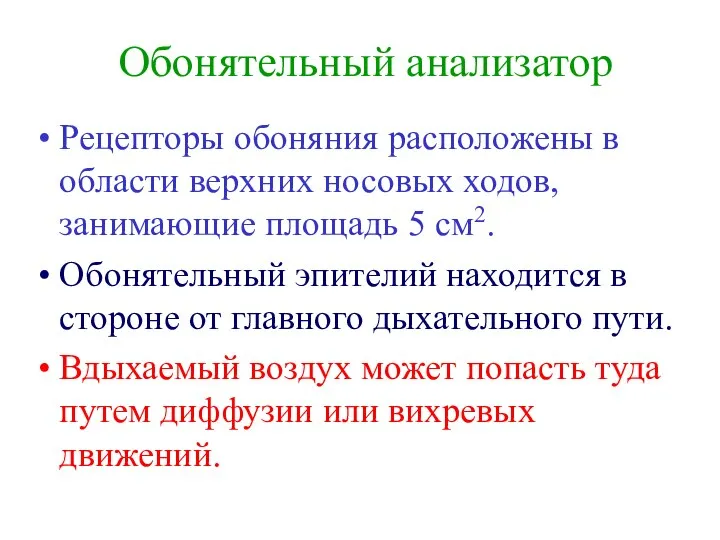 Обонятельный анализатор Рецепторы обоняния расположены в области верхних носовых ходов, занимающие