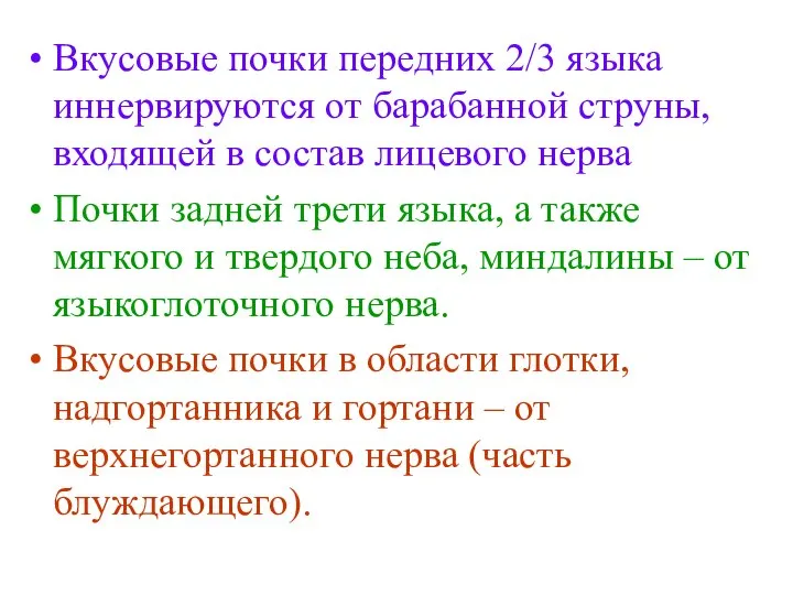 Вкусовые почки передних 2/3 языка иннервируются от барабанной струны, входящей в