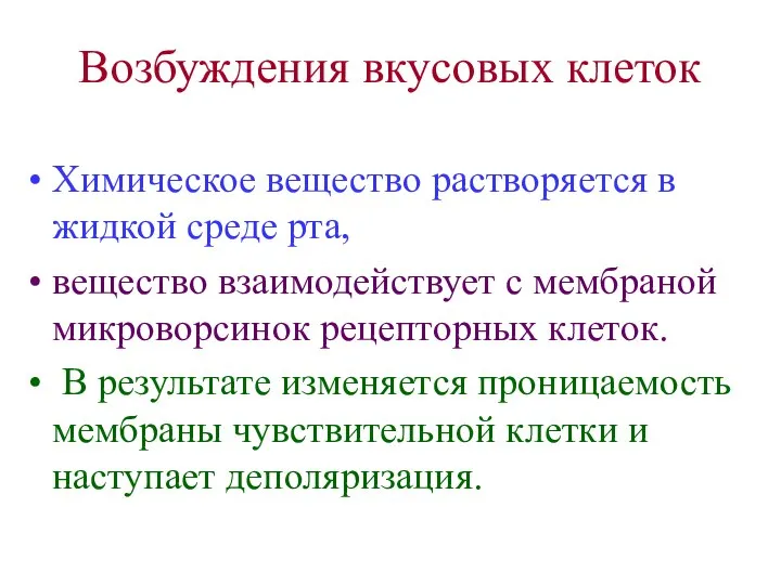 Возбуждения вкусовых клеток Химическое вещество растворяется в жидкой среде рта, вещество