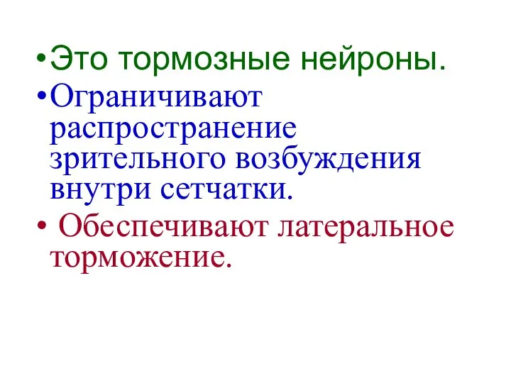 Это тормозные нейроны. Ограничивают распространение зрительного возбуждения внутри сетчатки. Обеспечивают латеральное торможение.